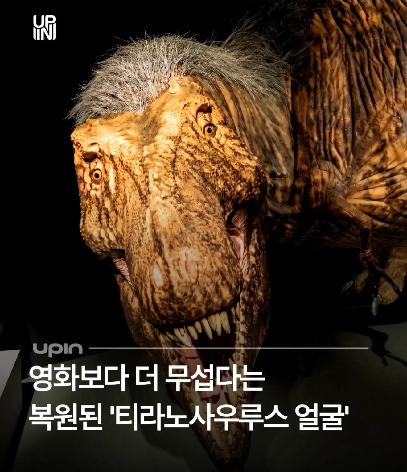 (사진놀람주의) 복원 사진으로 외모 악플 엄청 받은 티라노사우르스