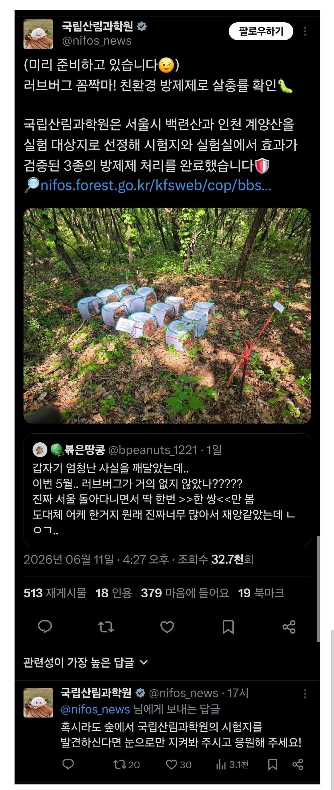 올해 러브버그 잘 안 보이는 이유