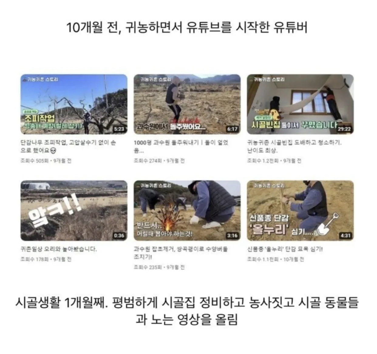 흑화한 귀농 유튜버.jpg