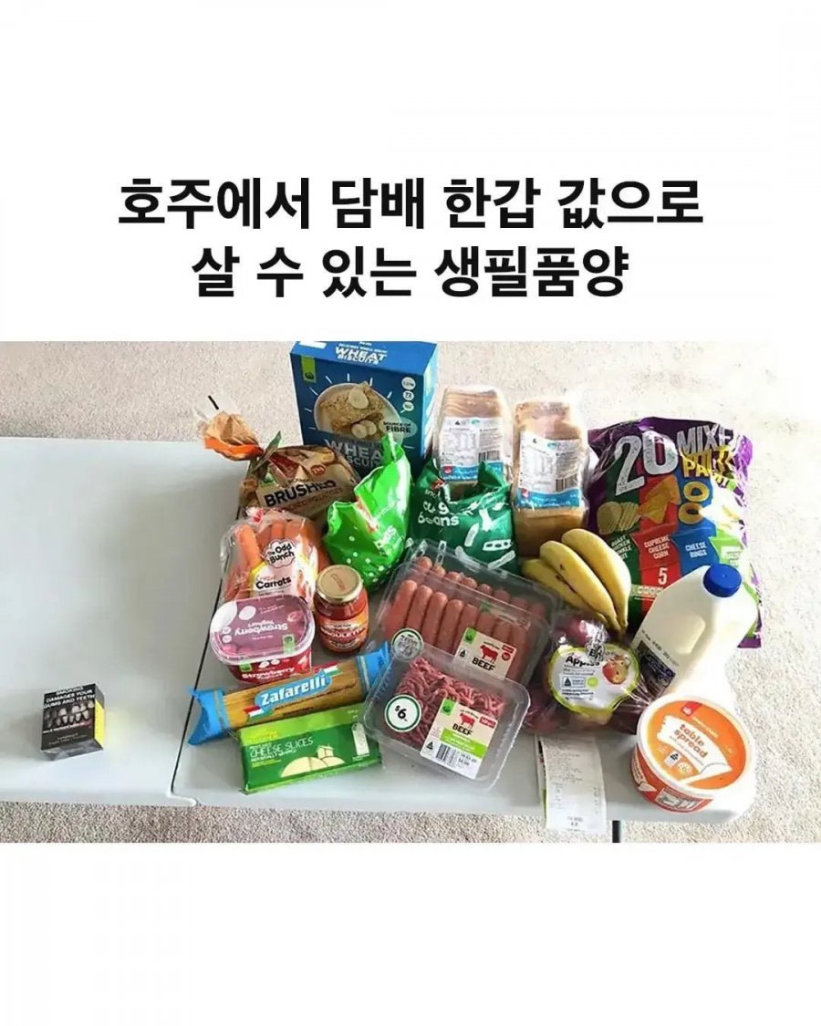호주에 담배피는 사람이 적은 이유