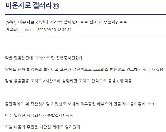 마운자로 기강 잡아준 돼지