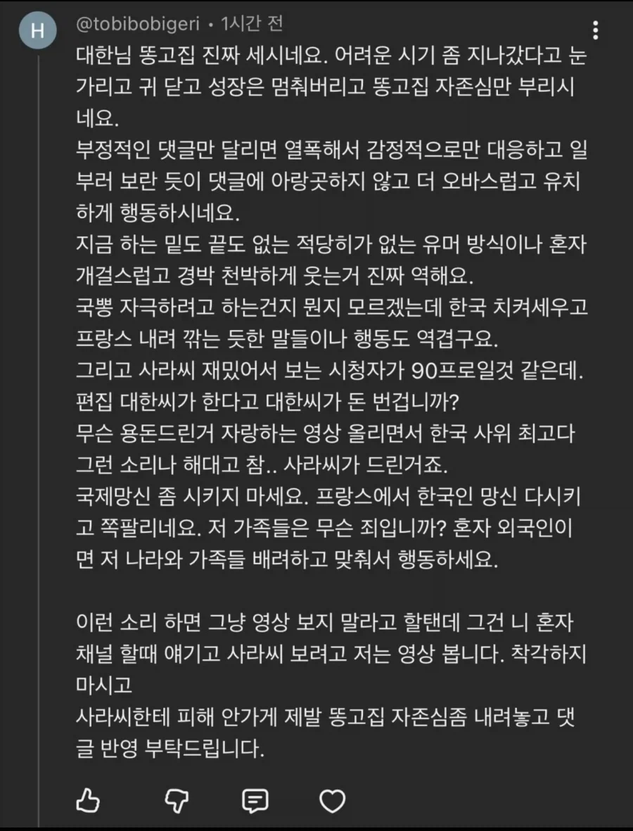 악플보고 댓글 단 유튜버 프랑스 아내