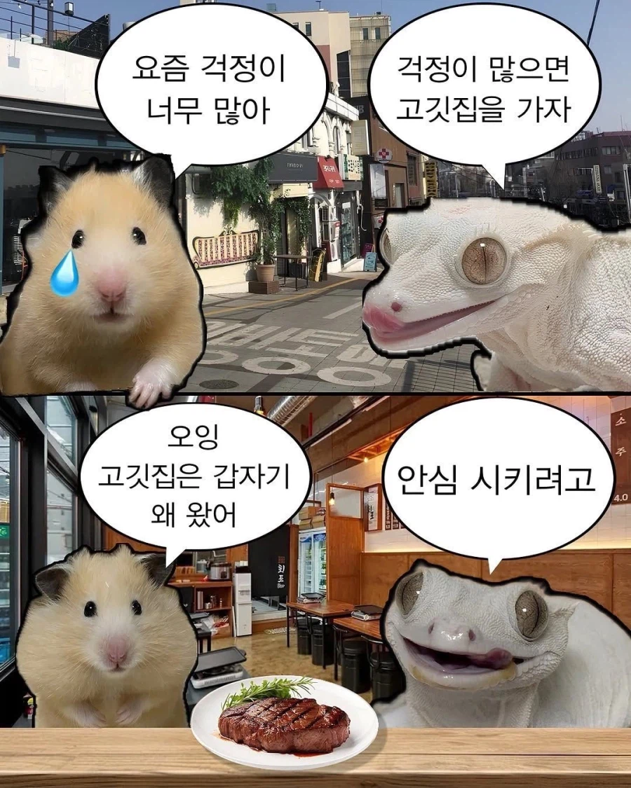 걱정이 너무 많으면 고깃집에 가라.jpg