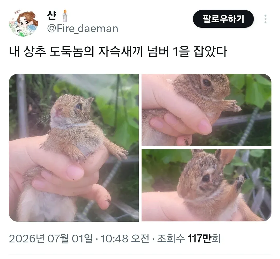 시골의 상추도둑놈을 잡았다