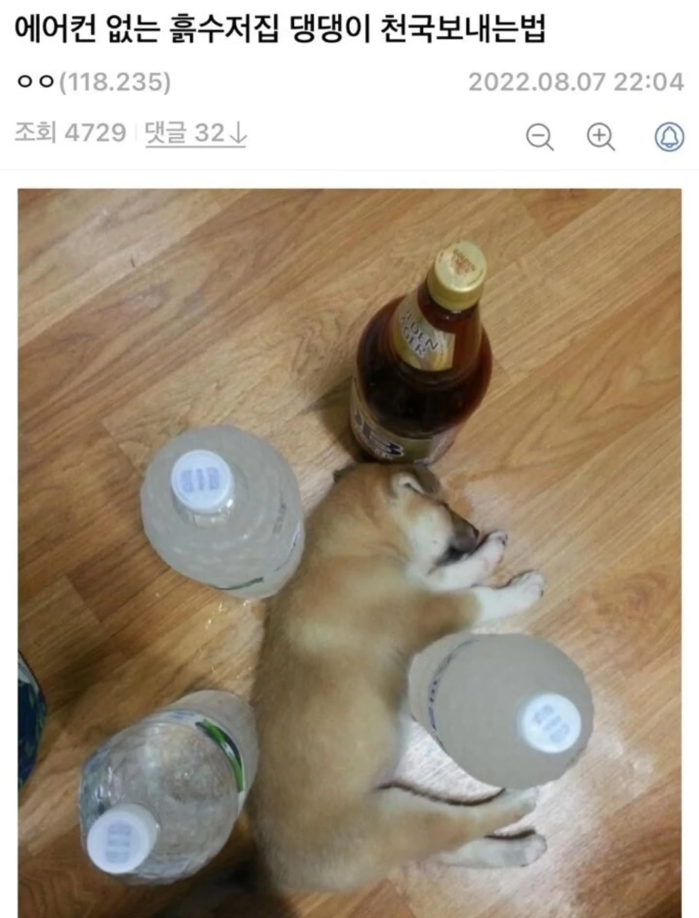 에어컨없는 흙수저집 댕댕이 천국보내는법