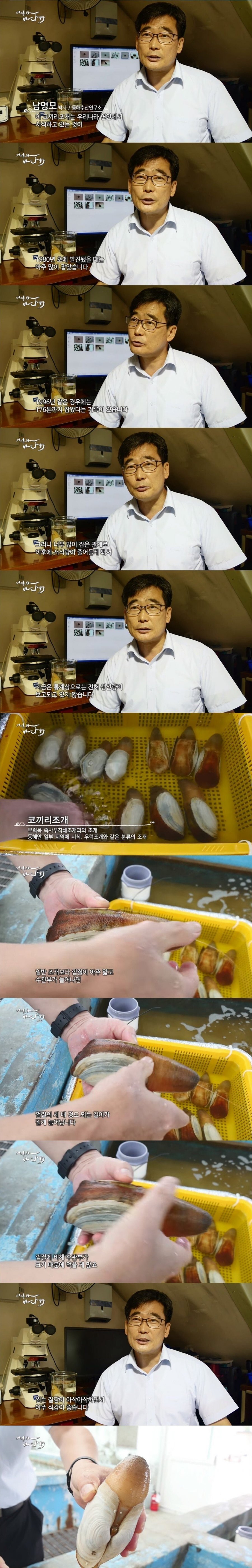 질감과 식감이 매우 좋은 해산물