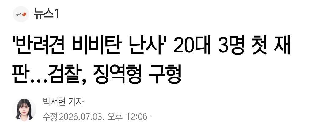 '반려견 비비탄 난사' 20대 3명 첫 재판
