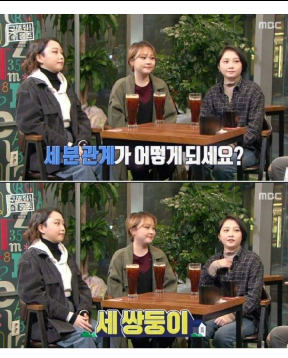한국 현실판 이브이 세쌍둥이.jpg