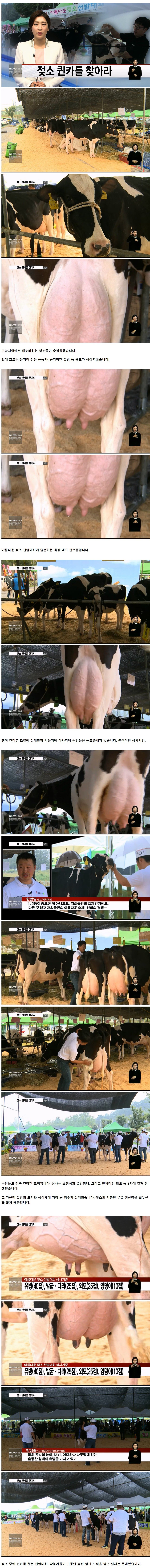 싱글벙글 특이점이 온 선발대회.jpg