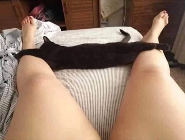 발목까지 내린 팬티 아님.jpg