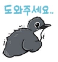 성역 되어버린 '길고양이' 실체. '살처분 빼고는 답이 없습니다' (ft.…