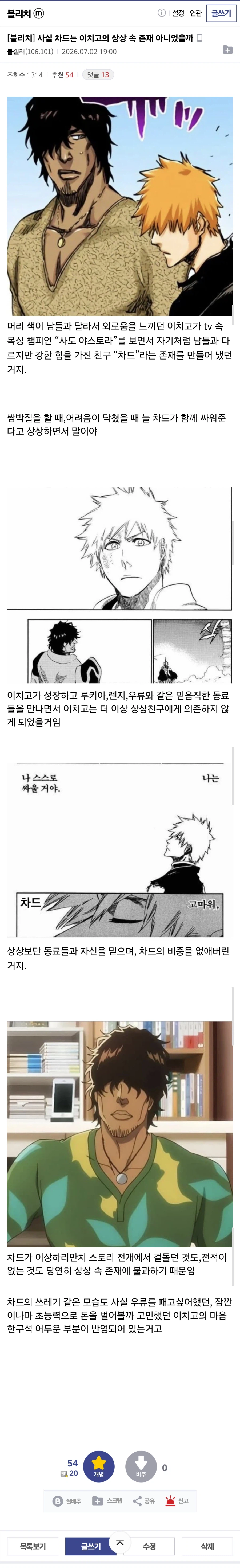 사실 차드는 이치고의 상상 속 존재 아니었을까