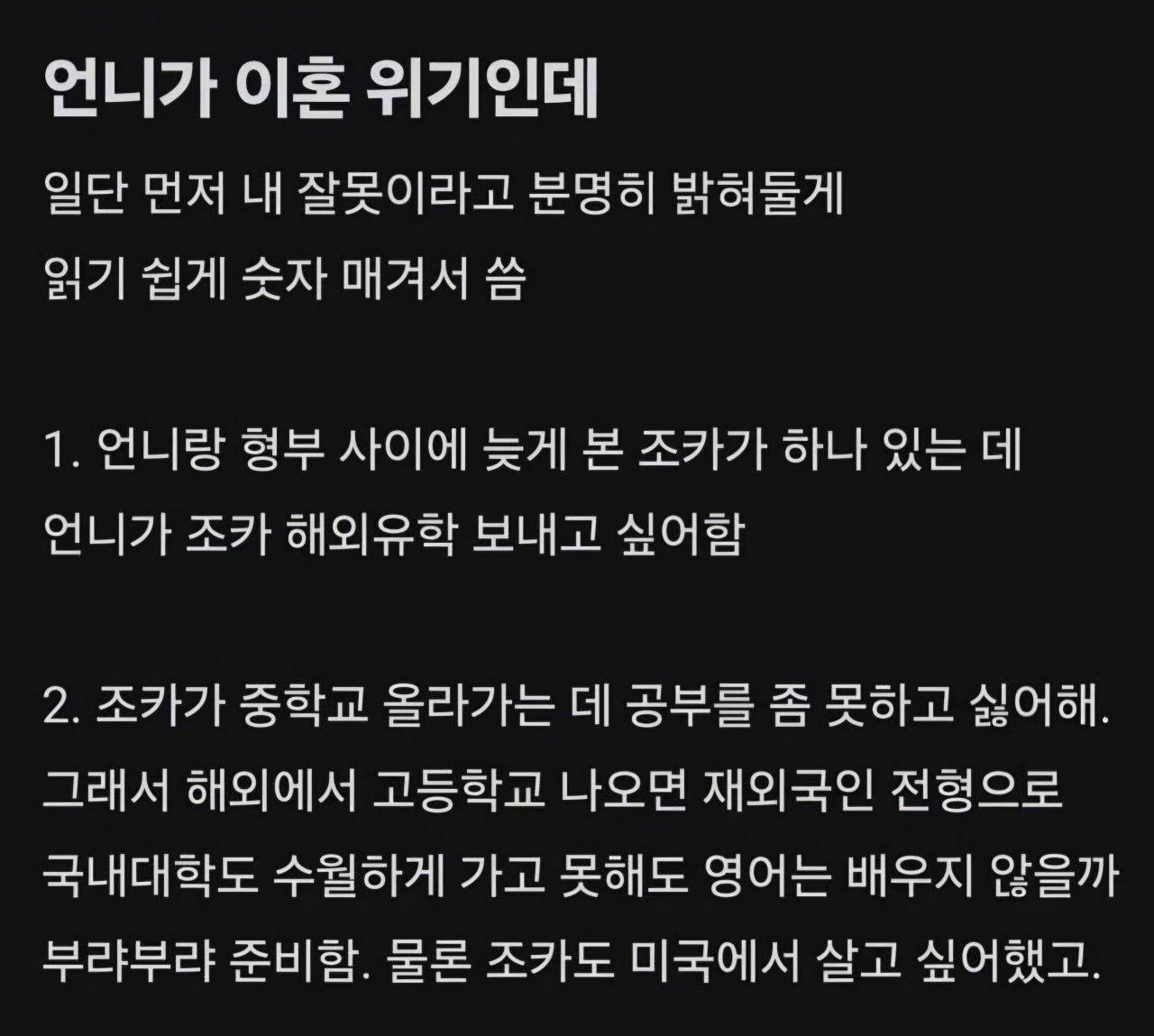 언니가 자기 때문에 이혼 위기라는 블라글