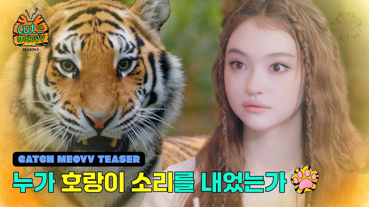 미야오, 자체 콘텐츠 '캐치미야오' 시즌3 귀환