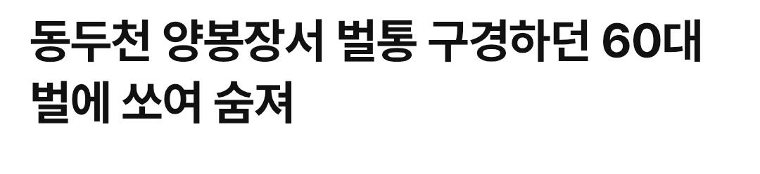 동두천 양봉장서 벌통 구경하던 60대 벌에 쏘여 숨져