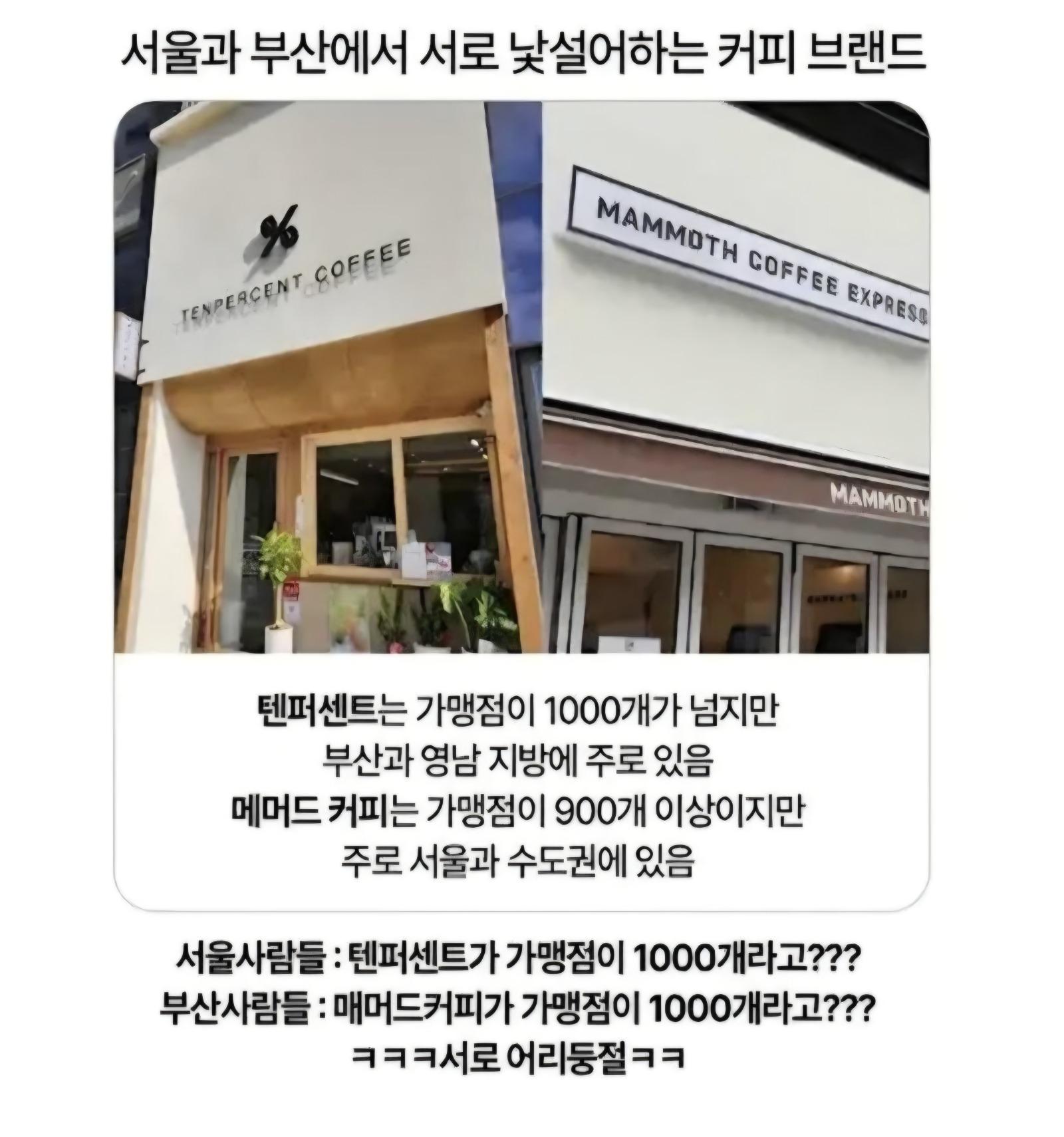 서울사람 부산사람 서로 못 믿는것.jpg