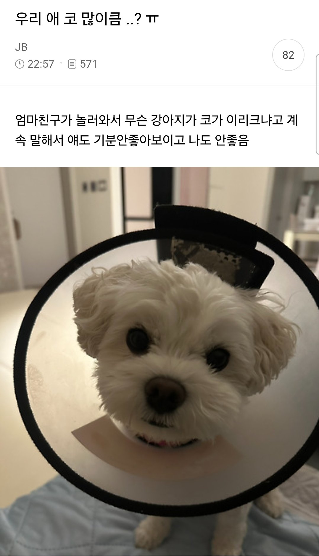 우리 애 코 많이큼..?ㅠ.jpg