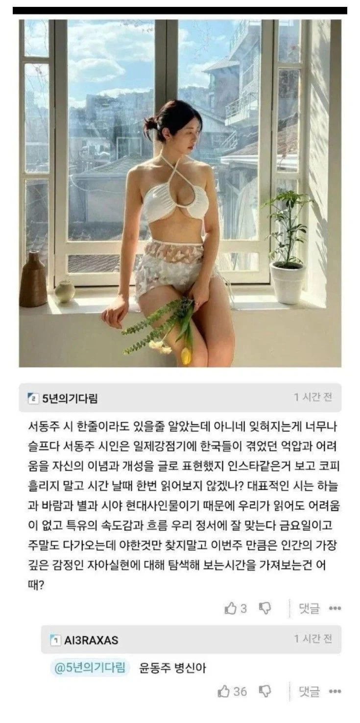 ㅇㅎ) 서동주 비키니 사진에 달린 댓글