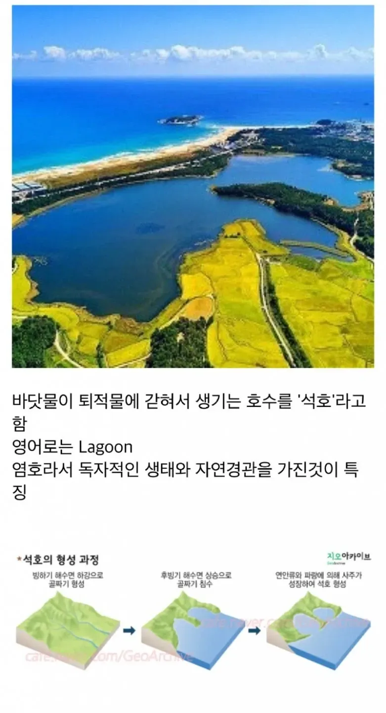 바다 옆에 생기는 특이한 호수 jpg