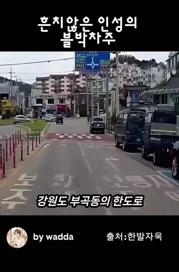 흔치 않은 인성의 블박 차주