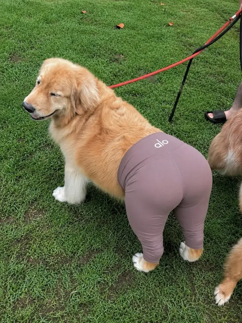 치명적인 뒷태