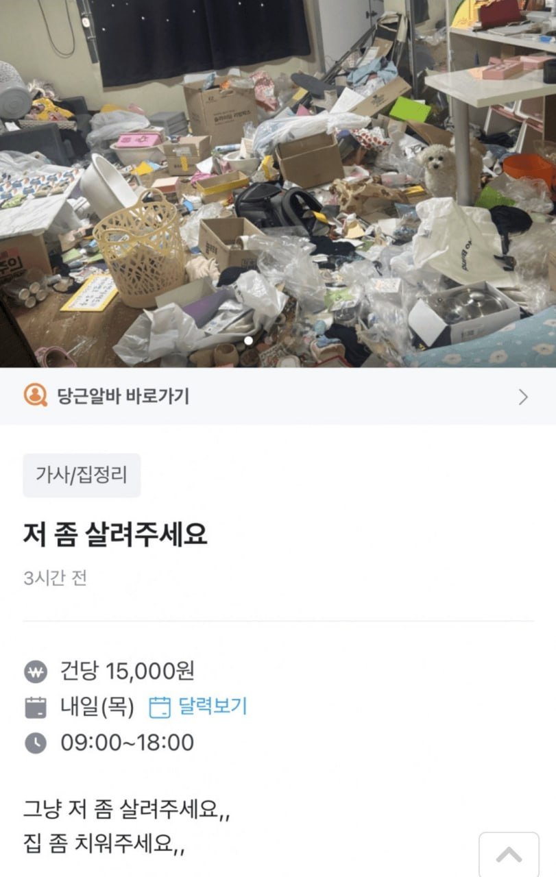살려달라는 20대 당근녀