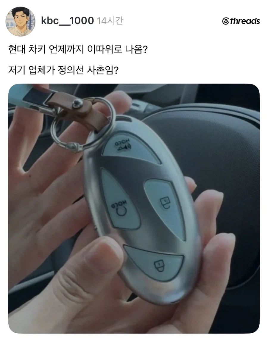 현대차 진입장벽.jpg