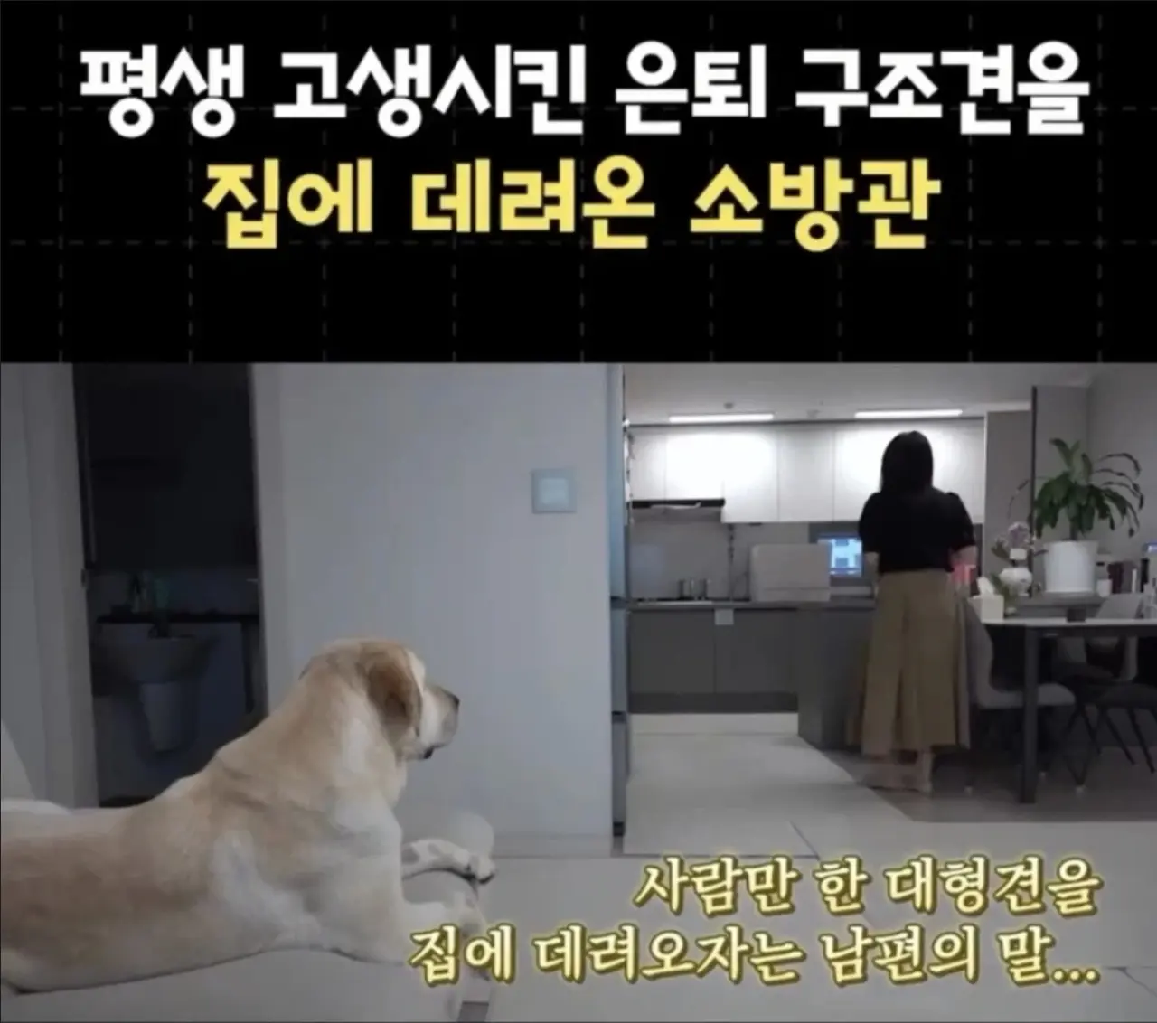 퇴사 후 직장 상사랑 동거하게 된 사연