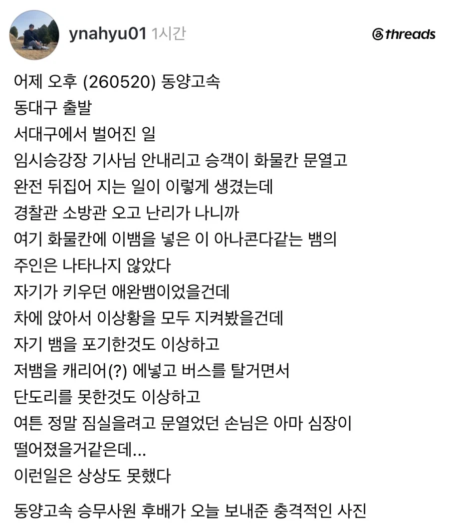 버스 화물칸에서 뱀이 튀어나옴.jpg