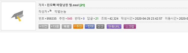 친오빠 아내 행세한 여동생.jpg