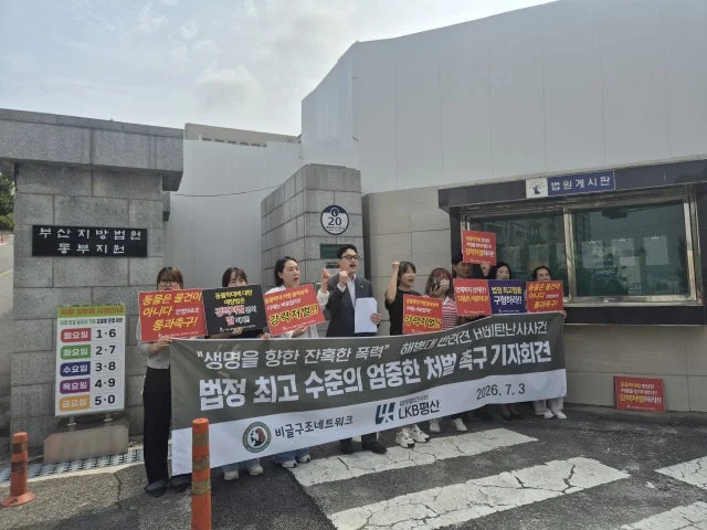 ‘거제 반려견 비비탄 난사’ 가해자 3명에 검찰 징역형 구형