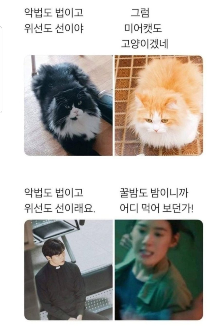 악법도 법이고, 위선도 선이다.jpg