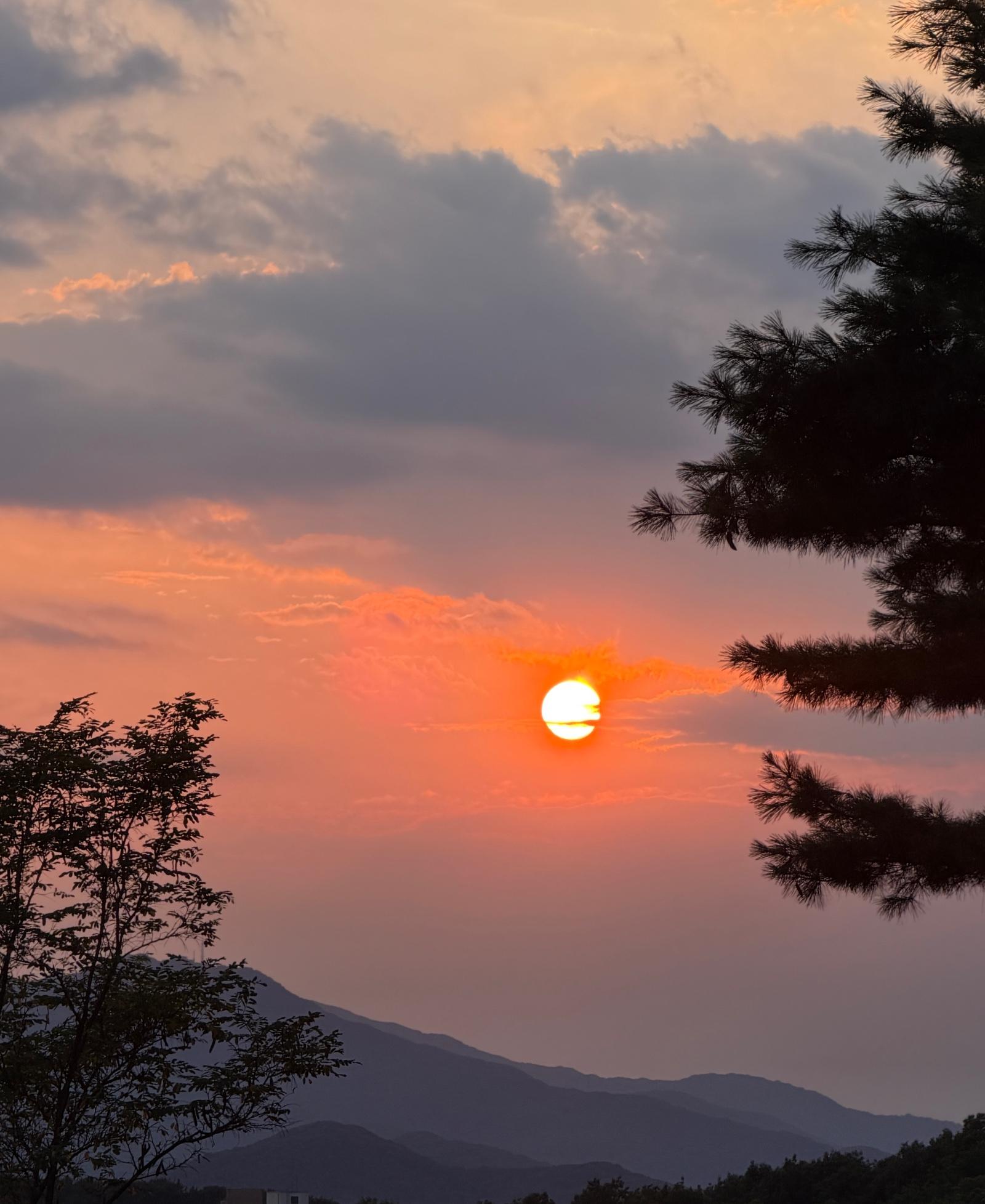 오늘도
