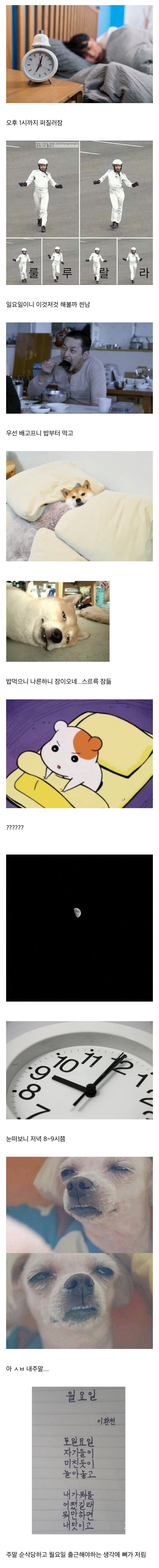 직장인들 일요일 주말 현타올때.jpg
