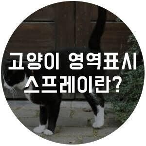 영역 표시를 하는 건 길고양이만이 아닙니다