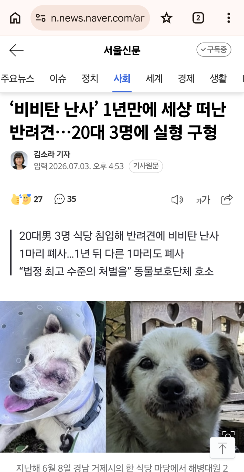 거제 강아지 비비탄 난사 사건 근황