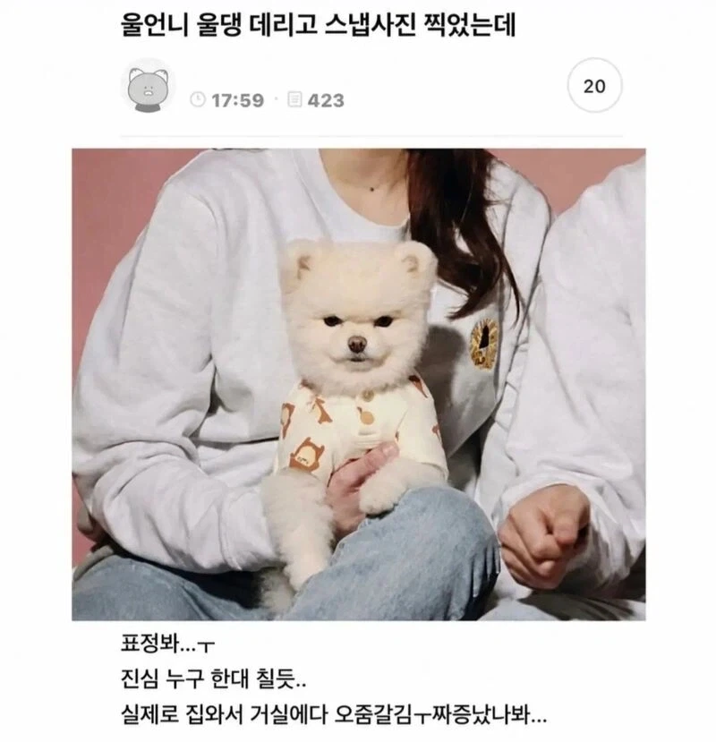 강아지데리고 스냅사진찍었는데
