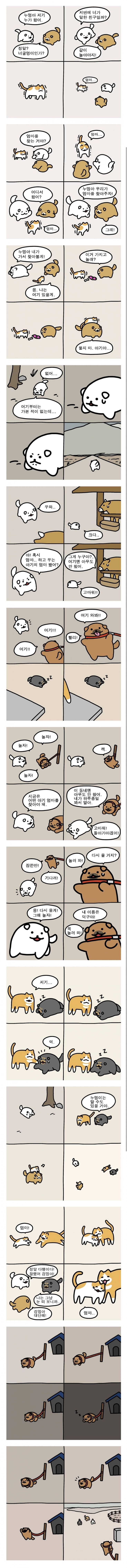 아기고양이 엄마 찾아주는 만화