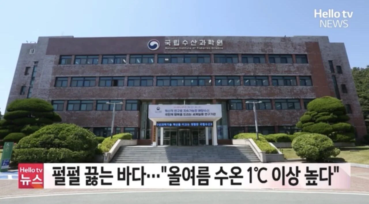 바닷물 수온 신기록 근황