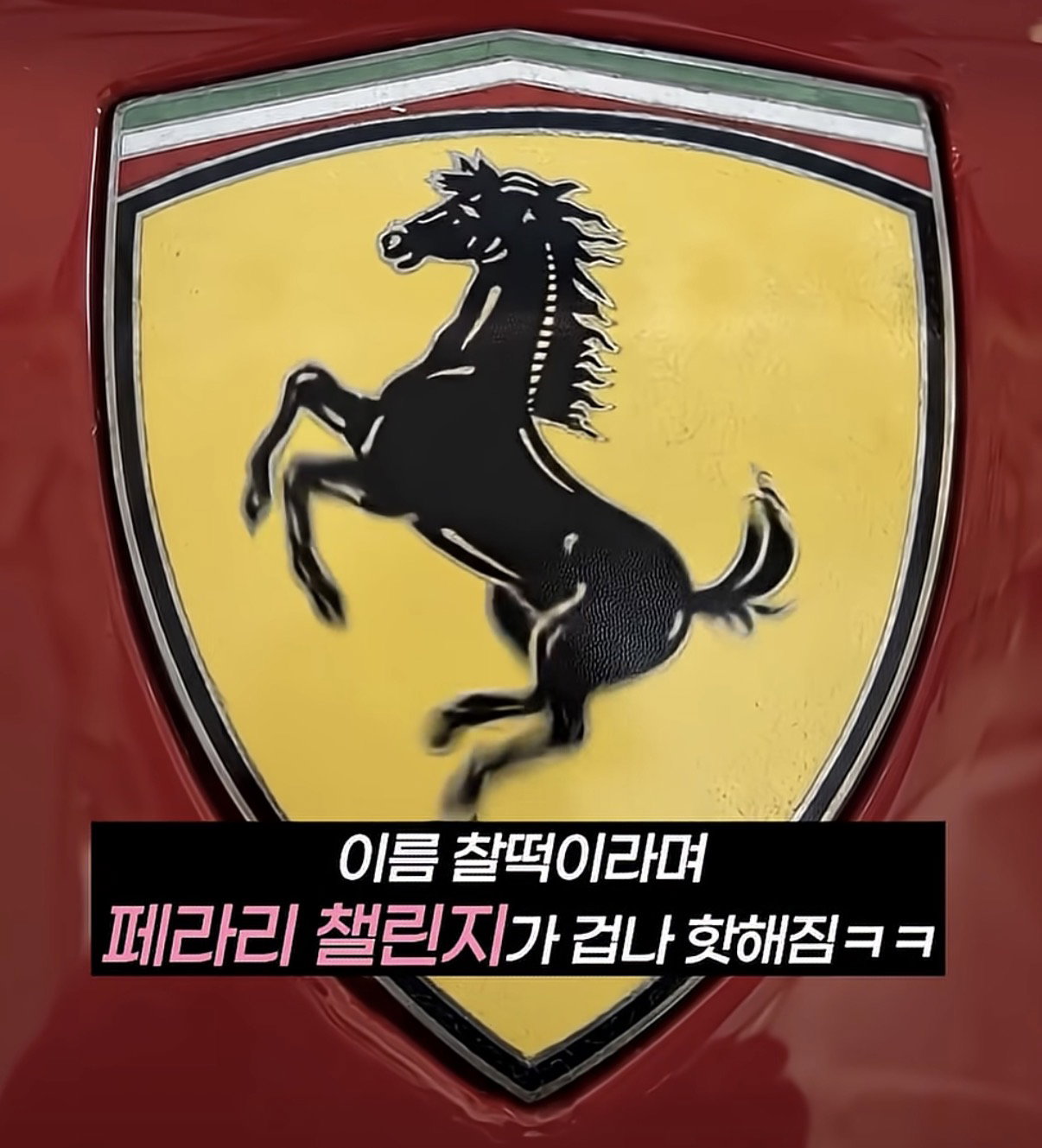 작명 센스 미친 팬들이 이름 붙여 준 페라리 챌린지.jpg