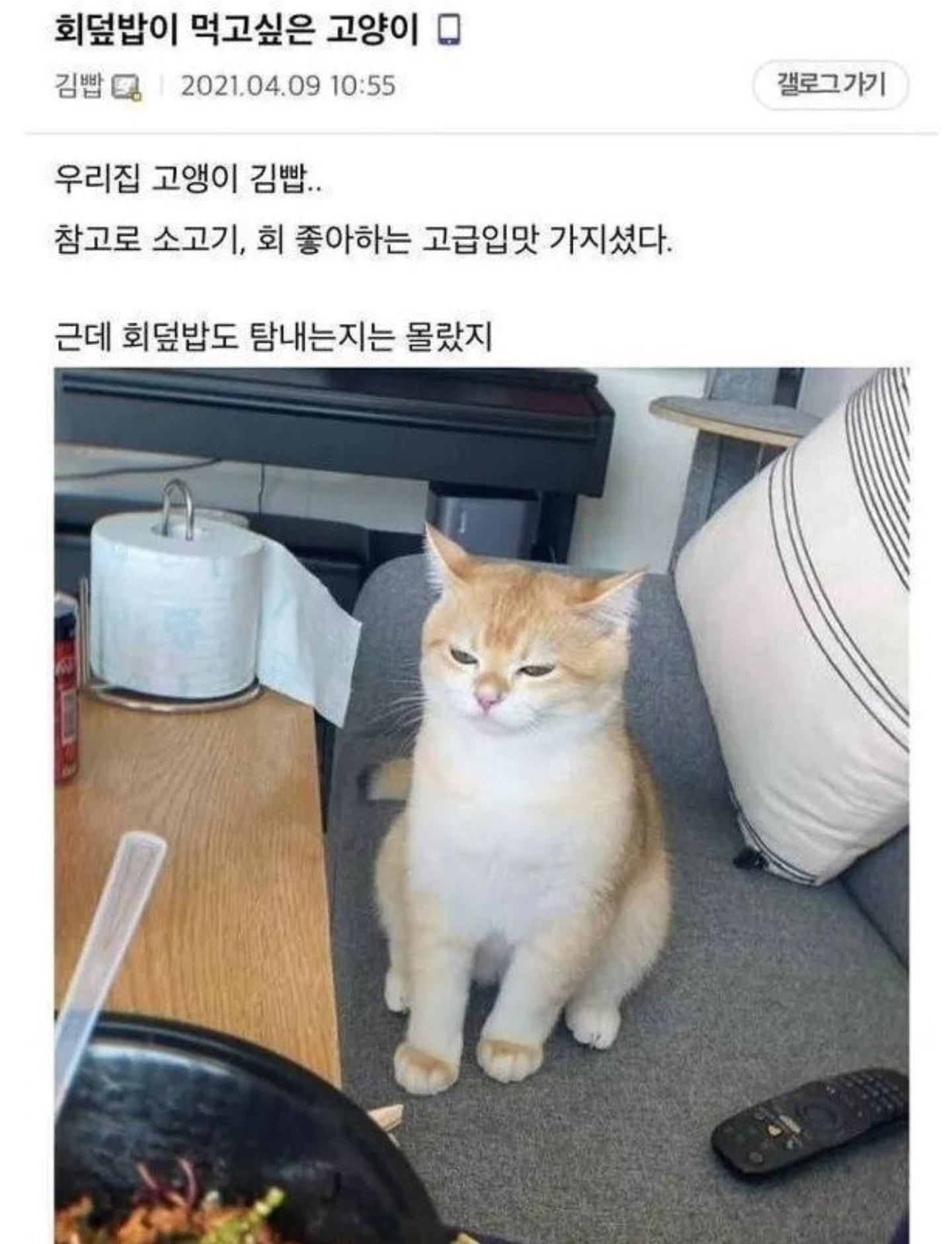 회덮밥이 먹고싶은 고양이