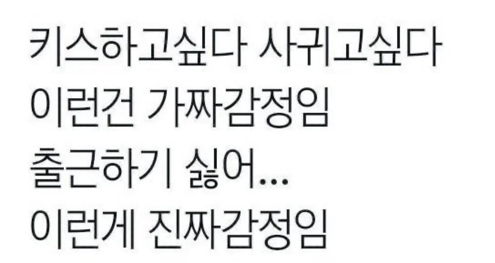 키스하고싶다 사귀고싶다 이런건 가짜감정임