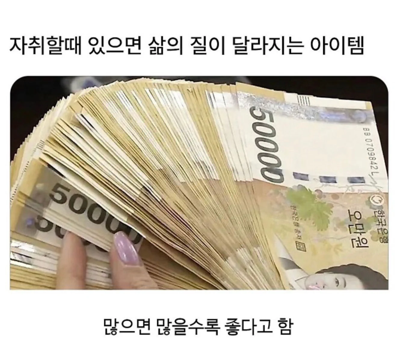 자취할때 있으면 삶의 질이 달라진다는 아이템 ㅎㄷㄷㄷㄷ