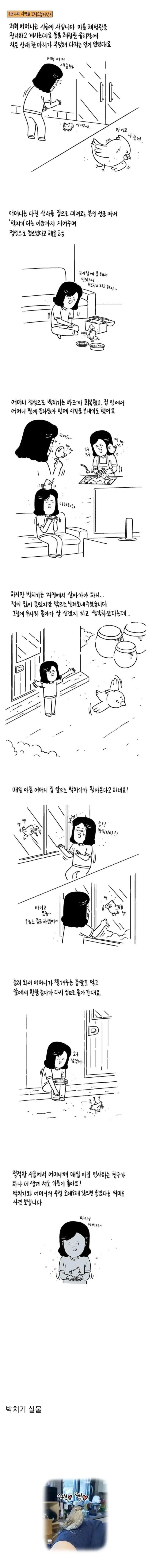 쓰러져있는 산새를 발견한 어머니.jpg