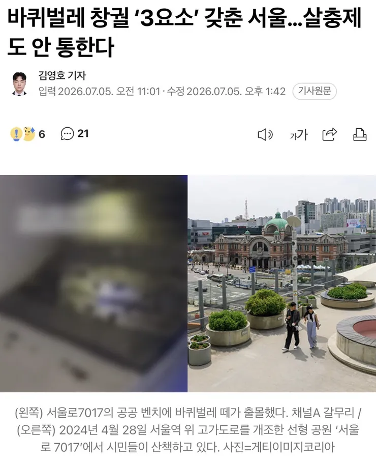 바퀴벌레 창궐 ‘3요소’ 갖춘 서울…살충제도 안 통한다