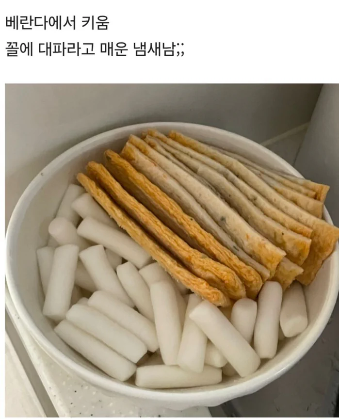 직접 기른 대파로 만든 떡볶이