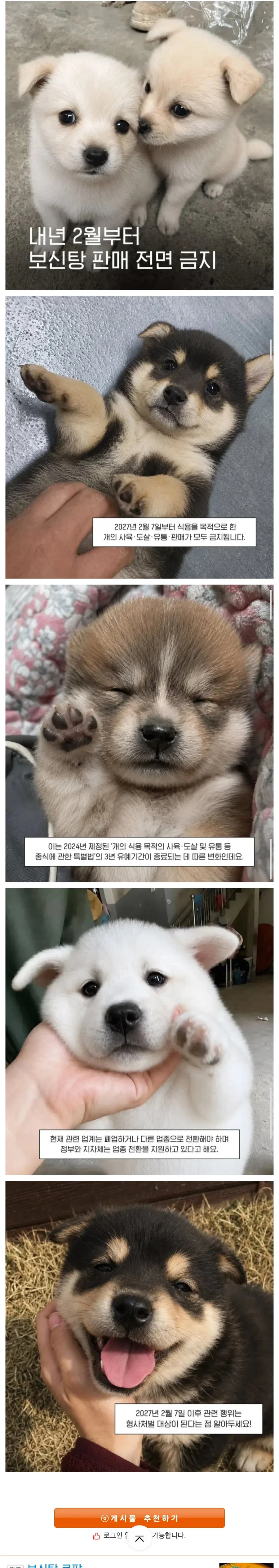 2027년 2월부터 보신탕 판매 금지.jpg