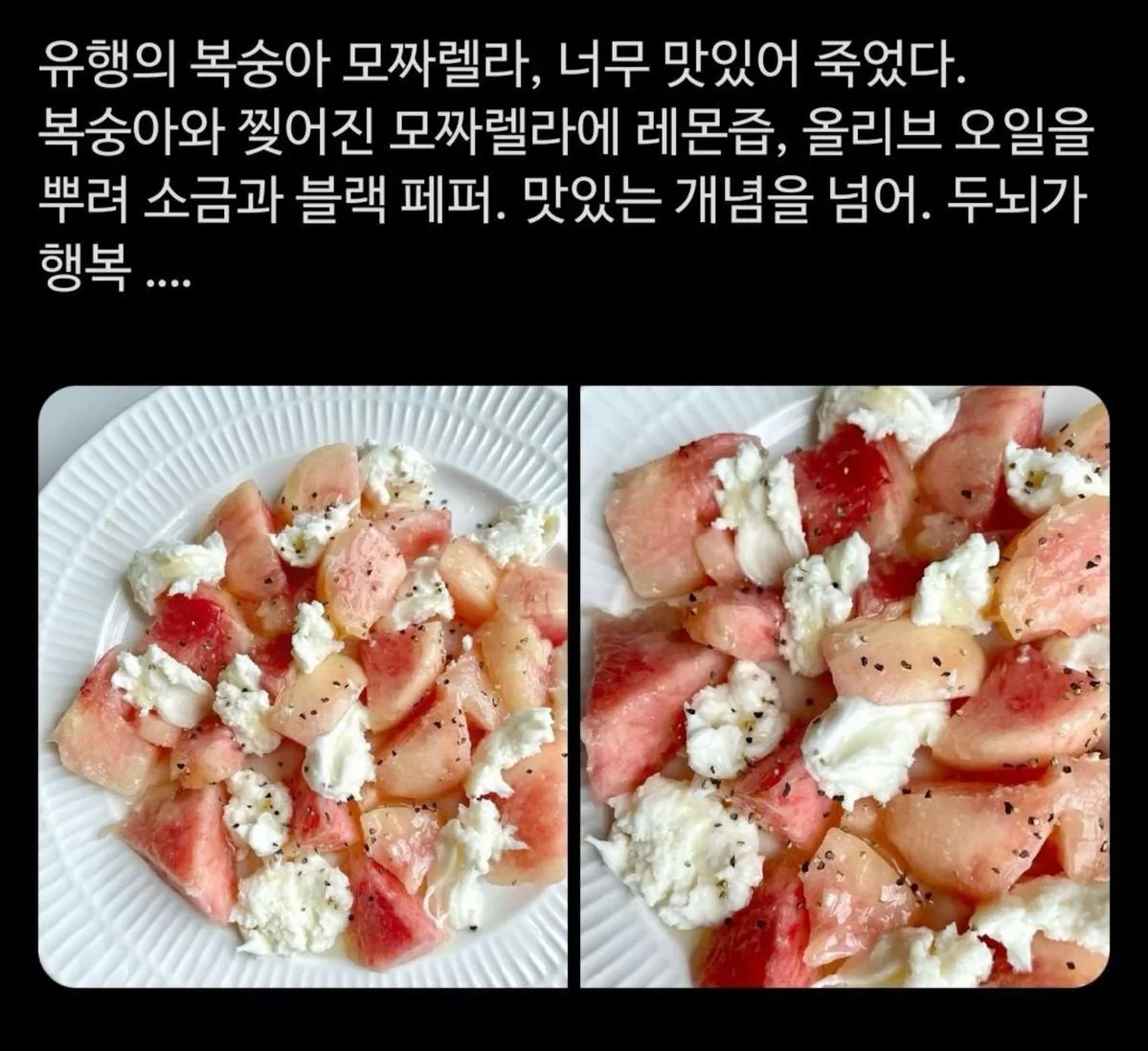 복숭아 모짜렐라 레시피.twt