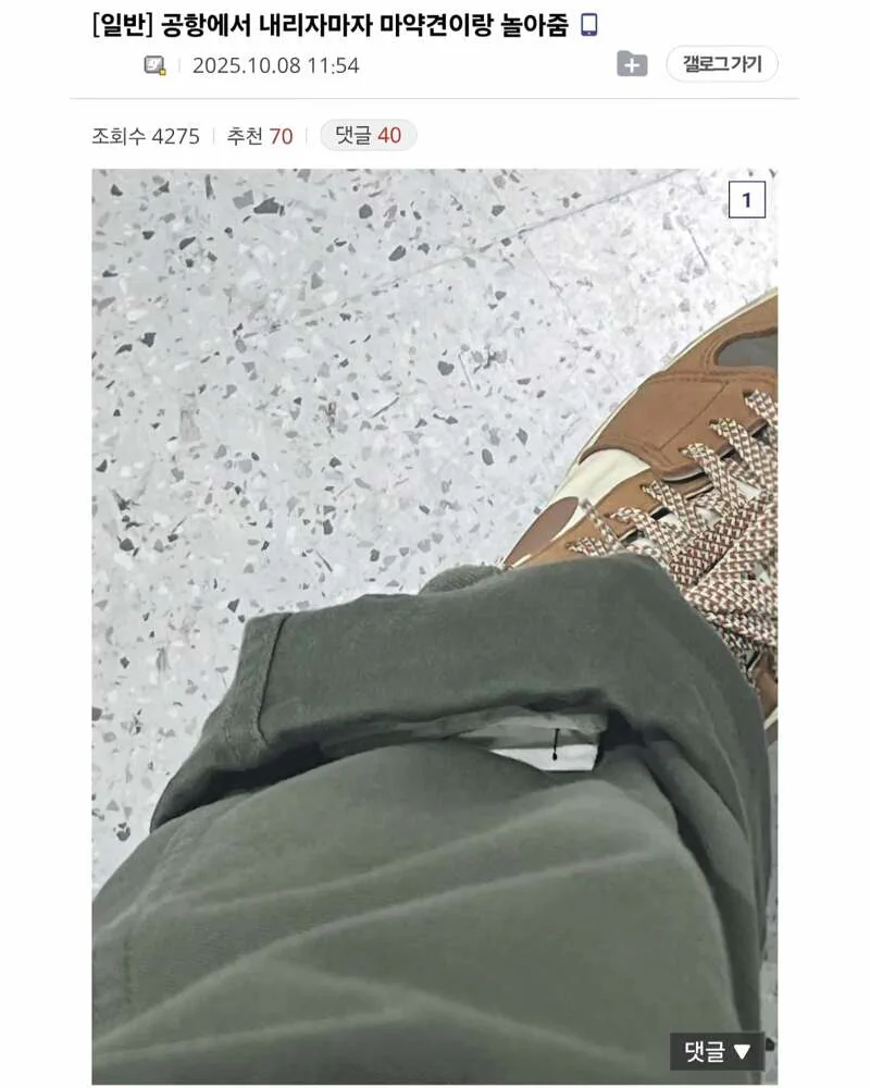 공항 마약 탐지견에게 딱걸린 캐리어에서 나온 물건