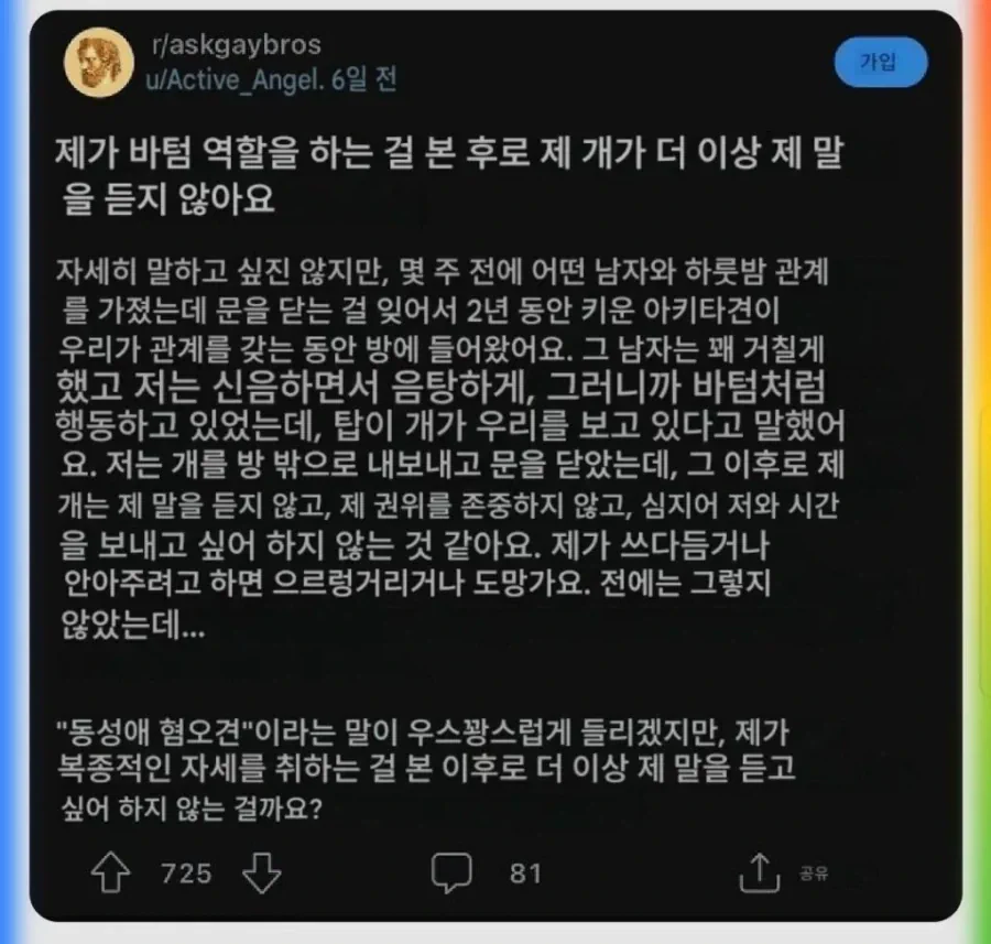 어느날부터 주인을 무시하는 반려견